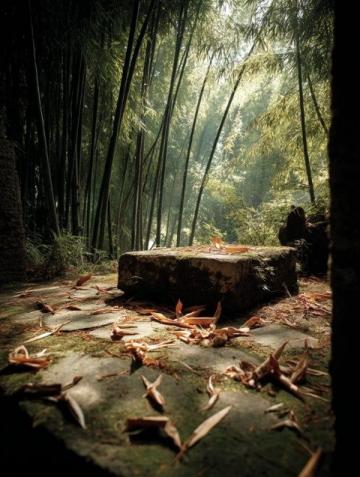 探尋深圳梧桐山:融合自然之美的人文秘境