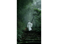 在竹林幽徑，那盞微光如引，照亮未知，于靜謐中探尋自我