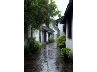 漫步在邵伯古鎮青石板路上，古運河的水汽裹著油燜蒜香撲面而來,轉過朱漆斑駁的牌坊