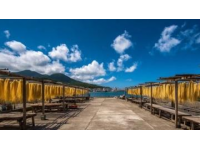 茂名2日游精華玩法：海灘、美食與文化探索全攻略