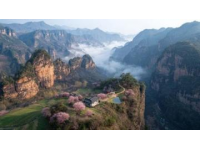 云南深山探秘：揭開大自然的珍饌——野生菌