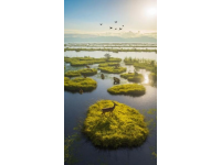 洱海3日游簡易攻略