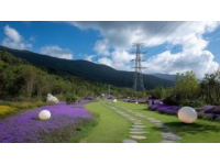 江西宜春明月山+羊獅慕精華1日游|純玩無自費