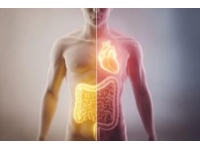 順應(yīng)夏季特點，防暑、祛濕、護脾胃是養(yǎng)生的關(guān)鍵