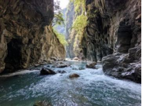 四天在神農架一個景點也沒有去