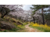 夏季戶外徒步推薦：多條林蔭遮陽路線等你探索