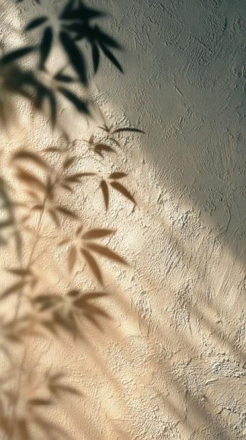 浪漫光影見證甜蜜時光，四季流轉(zhuǎn)共譜愛戀篇章