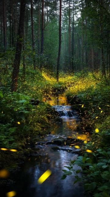 驚蟄時節:萬物復蘇,春雷初鳴——生機勃發的春之序曲