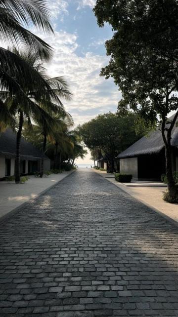 馬爾代夫阿米拉島：一站式奢華度假體驗，盡享浮潛與美食盛宴