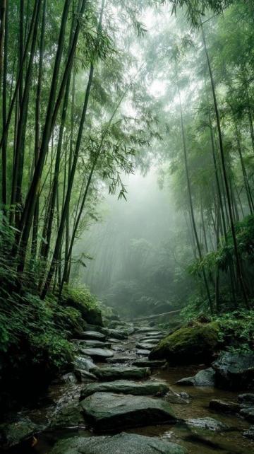 莫干山隱竹里:邂逅靜謐療愈之旅