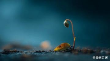 揭秘10大生活誤區(qū)：警惕無形毒瘤阻礙你的成長軌跡