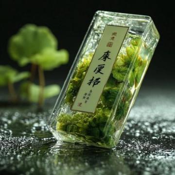 云吞飄香千載情：從醫圣張仲景的嬌耳湯到現代餐桌上的味蕾記憶