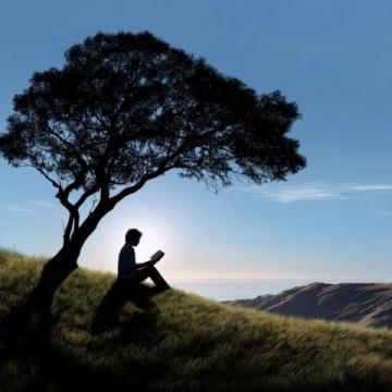 閱讀的終極價值:汲取智慧,拓寬視野