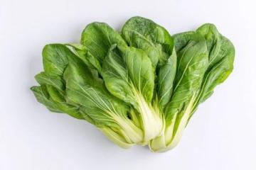 第25天記錄生活大白菜這樣做真好吃！