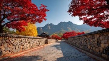 北京的秋天,坡峰嶺的秋天目前坡峰嶺的黃櫨紅葉已進入最佳觀賞期,景區活動豐富,非常適合前往游覽。