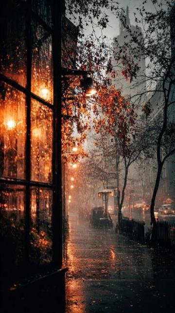 2025年11月4日:陰雨天氣中的平凡生活瑣記