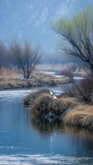上周在宏村月沼邊發愣呢，旁邊一老大爺突然戳我胳膊這水可不是光擺著好看的