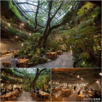 廣州塔下這家粵菜館絕了！龍蝦湯泡飯香到舔碗，坐擁絕美View！