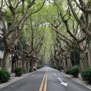 無錫南長街裝設無線充電座椅讓出行更便利