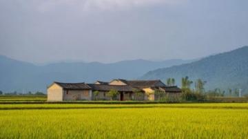 探索云南西雙版納:勐景來的獨特邊陲文化之旅