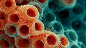 初一生物核心考點(diǎn)匯總：暑假高效復(fù)習(xí)，輕松掌握，考試高分無憂！