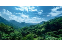 伊春是中國林都，森林覆蓋率高，自然風光優美，是名副其實的天然氧吧