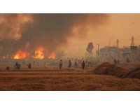 帶孩子逛菜市場(chǎng)：體驗(yàn)生活煙火氣的奇妙之旅