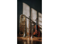 入門音樂之旅：如何選擇最適合初學(xué)者的樂器及提升樂感技巧