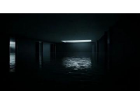 凌晨兩點(diǎn)的手電光里，一片葉子為何如此金貴？探秘武漢東西湖的種植大棚