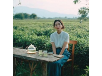 今年春白茶知多少：了解春白茶小知識