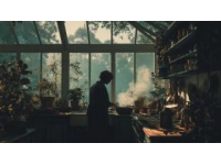 清晨的陽光剛剛探進(jìn)窗欞，廚房里便有了些許忙碌的聲響,我系著圍裙