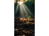 在日常瑣事中播撒育兒智慧的種子