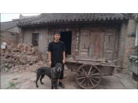 孝義之行：小城里也有大快樂