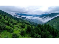 綏陽縣觀音巖景區位于貴州省遵義市綏陽縣，是一個自然風光秀麗、集休閑觀光與戶外活動