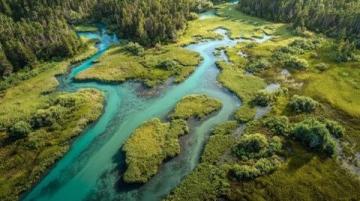 濟南一日游攻略：高效游覽泉城精華景點