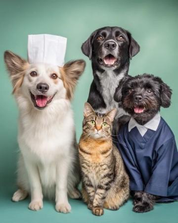 社畜要成為護士,需要從零開始!