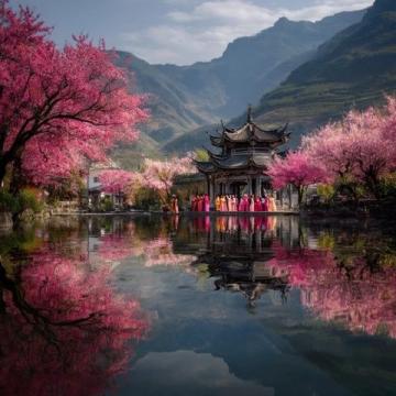 濟南臥虎山水庫桃花觀賞全攻略：交通、花期與攝影技巧指南