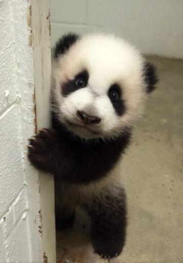 梓要你來,幸福潼在!