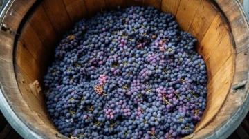 以下是酒的起源三種理論的具體歷史依據及相關典故-自然發酵說自然發酵說雖沒