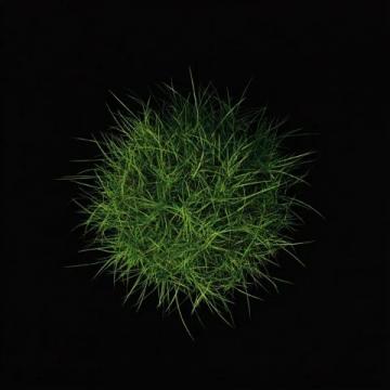 深夜問候：我是一株小草，向世界致意！