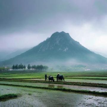 上饒被低估的山水美景：從三清山到婺源油菜花的視覺(jué)盛宴