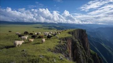 呼倫貝爾自駕游:風吹草低見牛羊的詩意之旅