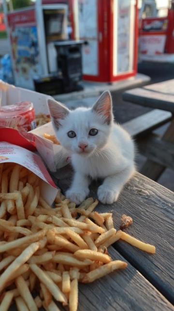 午飯時間又到了，我卻沒有食欲？
