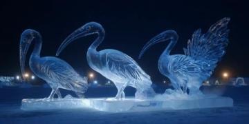 立冬后冰城景色獨特，空氣清新宜人