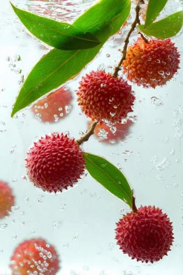 298元6顆的荔枝傳奇