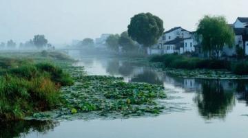 臨汾特色“狗舌頭”面食,20多元享地道風味