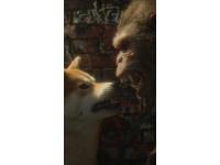 瘋狂動(dòng)物城2預(yù)售票房逆襲哪吒2，這次動(dòng)物們擊敗了神童！