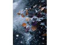 又是一年立冬時