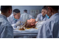 佛山啟動突發(fā)公共衛(wèi)生事件Ⅱ級響應(yīng)，關(guān)注這些蚊媒傳染病防護(hù)知識