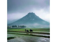 上饒被低估的山水美景：從三清山到婺源油菜花的視覺(jué)盛宴
